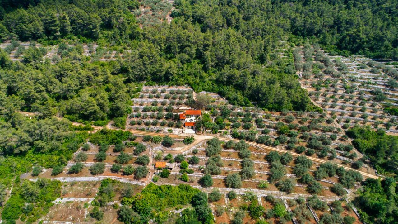 Holiday Home Liberan فيلا لوكا المظهر الخارجي الصورة